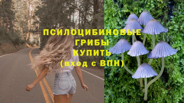 тгк Алексин