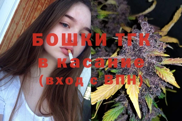 тгк Алексин
