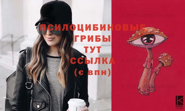 тгк Алексин