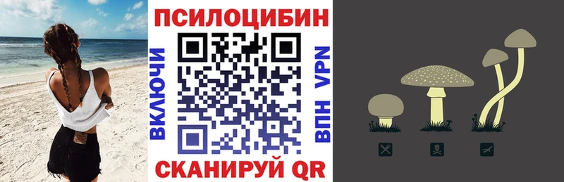 Галлюциногенные грибы Magic Shrooms  блэк спрут ссылки  Змеиногорск 